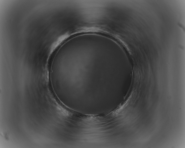 X0000095531414200712141452