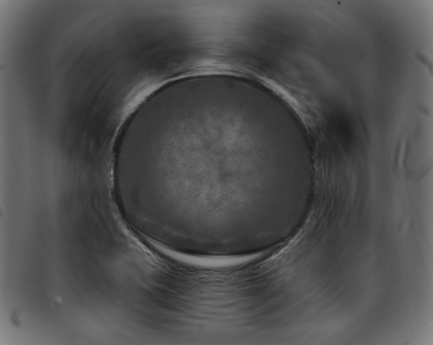 X0000095531415200712141452