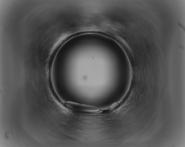 X0000095531416200712141452