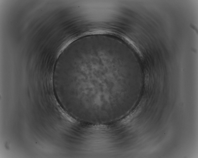 X0000095531417200712141452