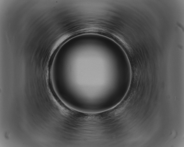 X0000095531418200712141452