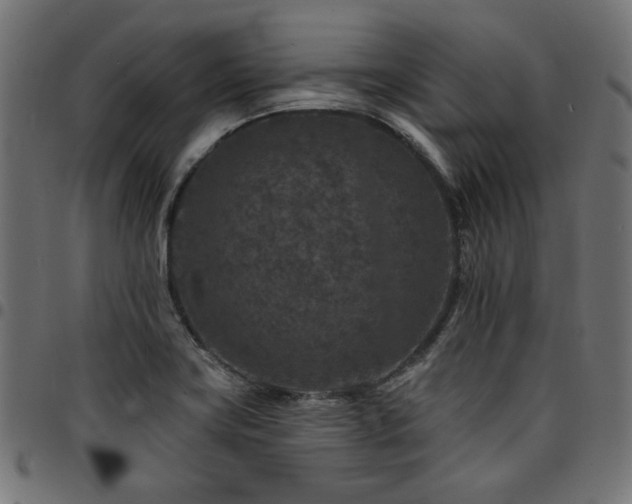 X0000095531419200712141452