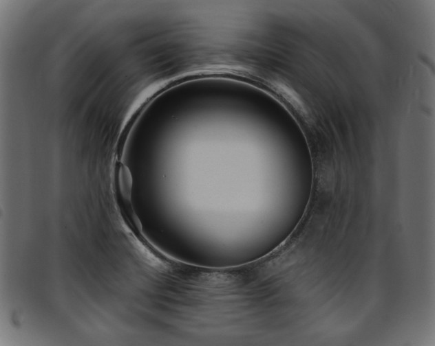 X0000095531420200712141452