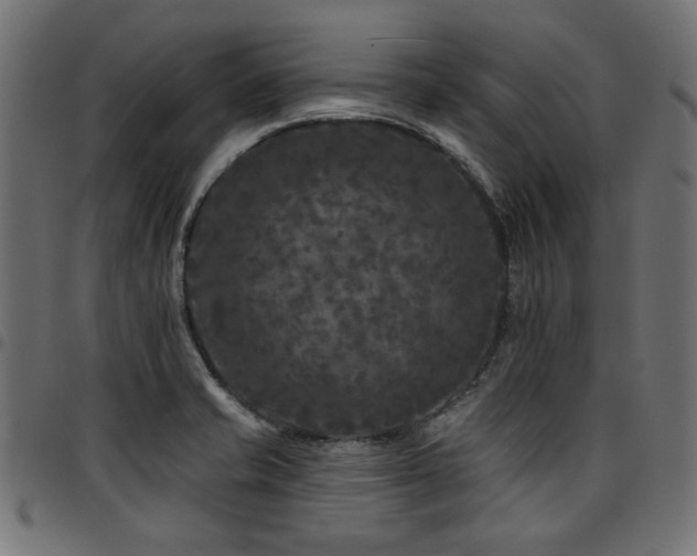 X0000095531421200712141452