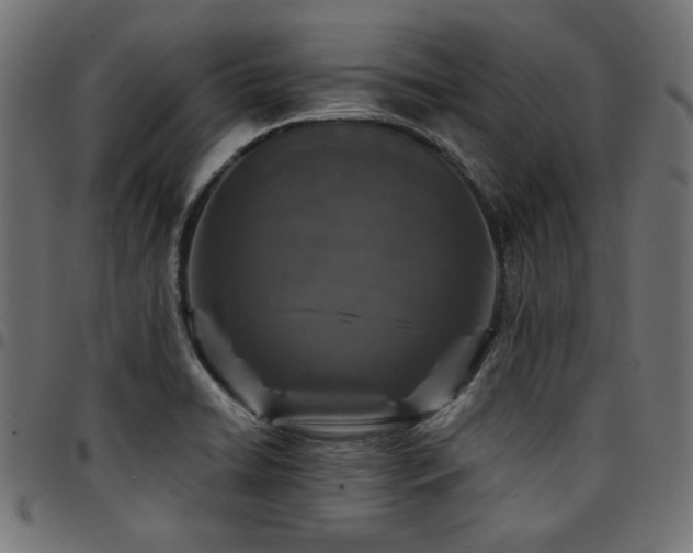 X0000095531422200712141452