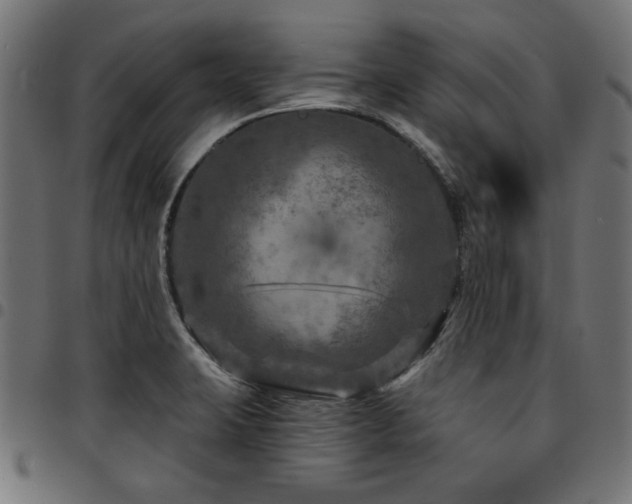X0000095531423200712141452