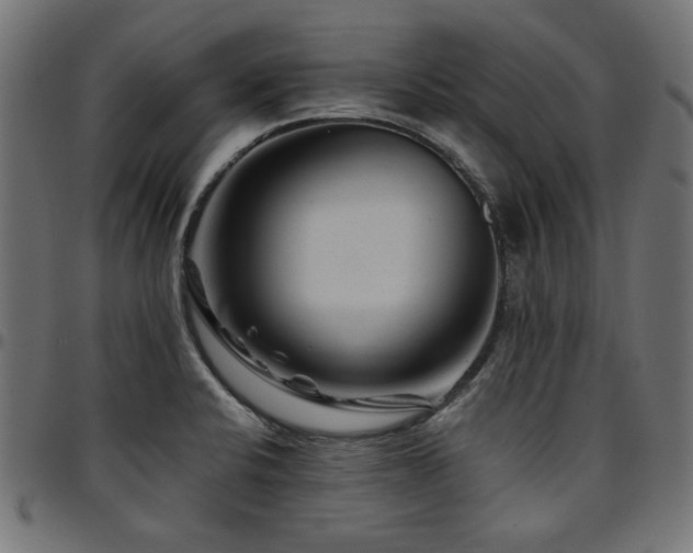 X0000095531424200712141452