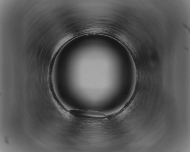 X0000095531426200712141452