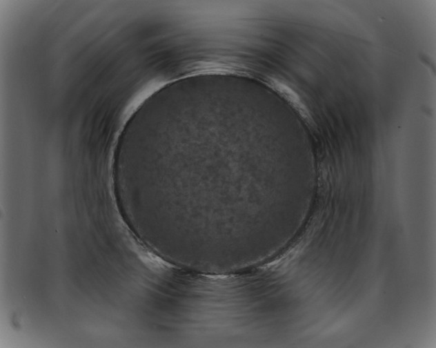 X0000095531427200712141452