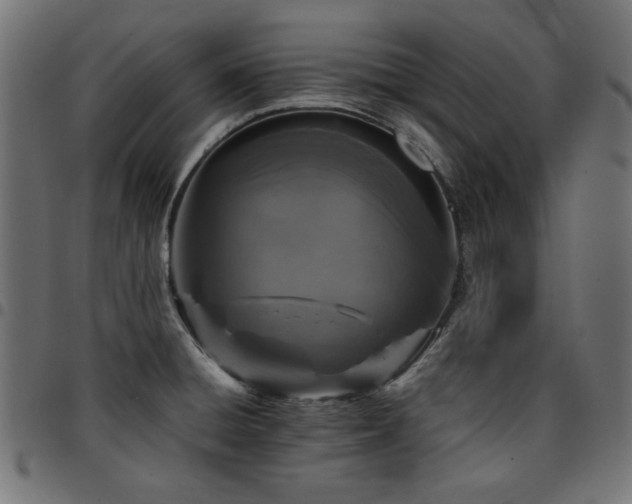 X0000095531428200712141452