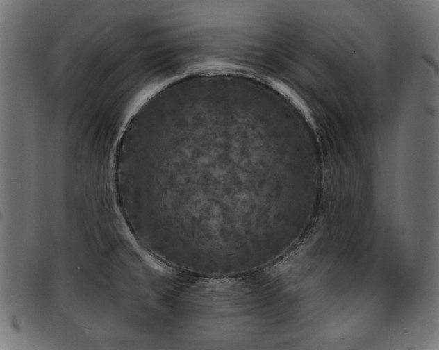 X0000095531429200712141452