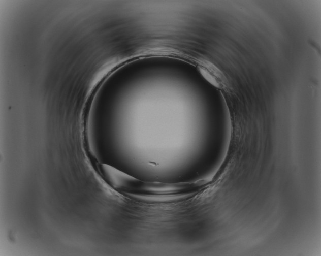 X0000095531430200712141452