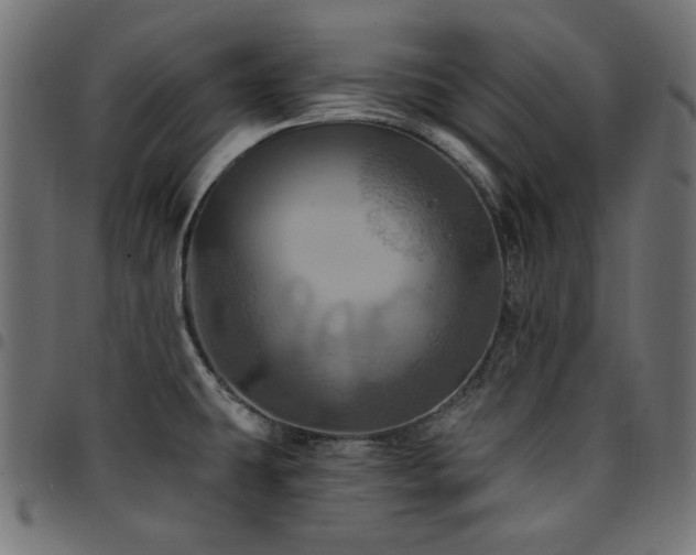 X0000095531431200712141452
