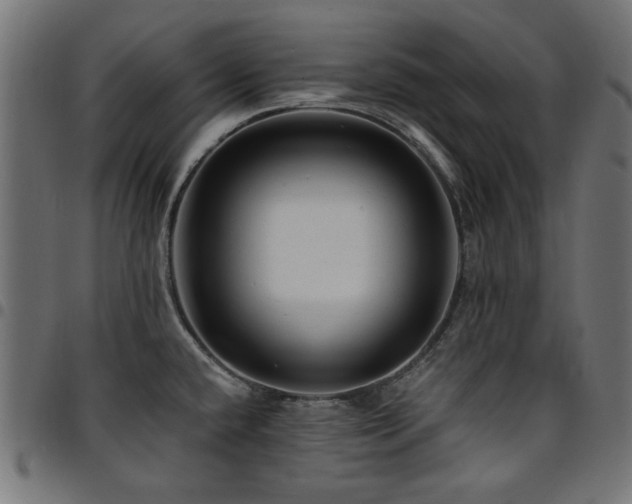 X0000095531432200712141452