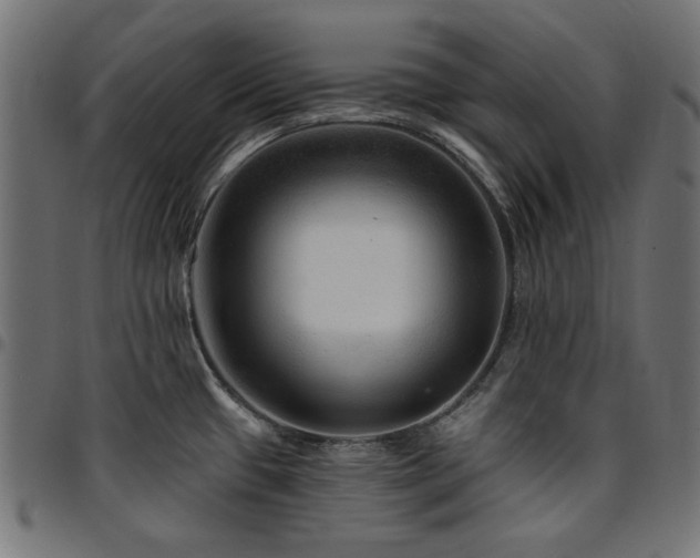 X0000095531433200712141452
