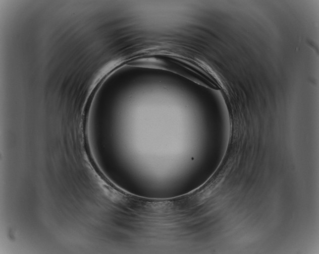 X0000095531434200712141452