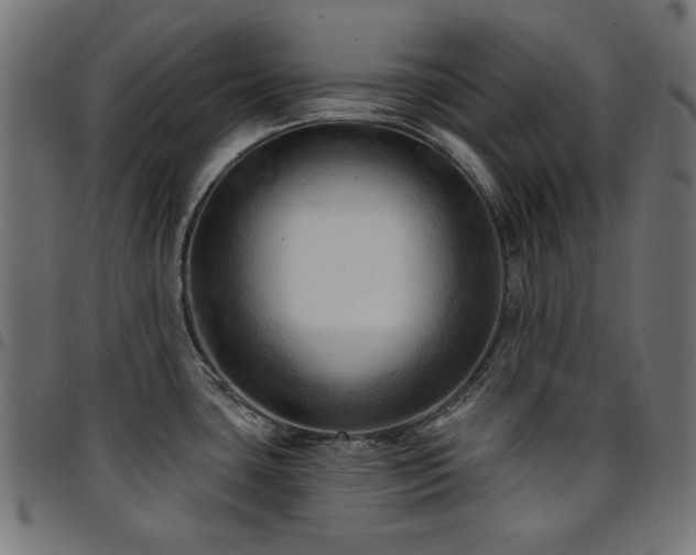 X0000095531435200712141452