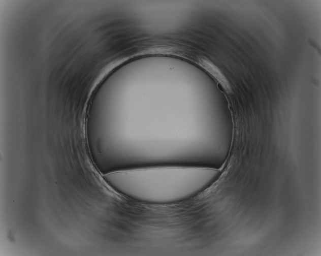 X0000095531436200712141452
