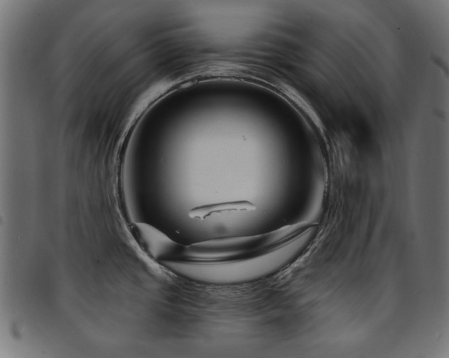 X0000095531437200712141452