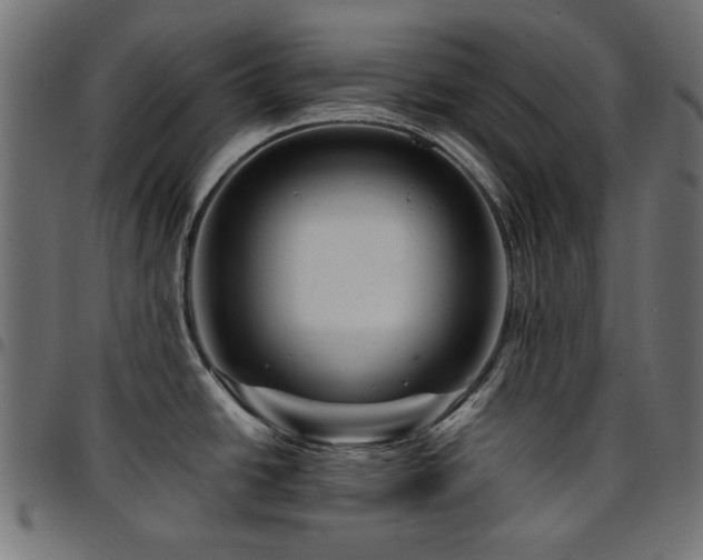 X0000095531438200712141452