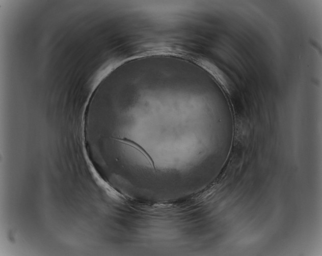 X0000095531439200712141452