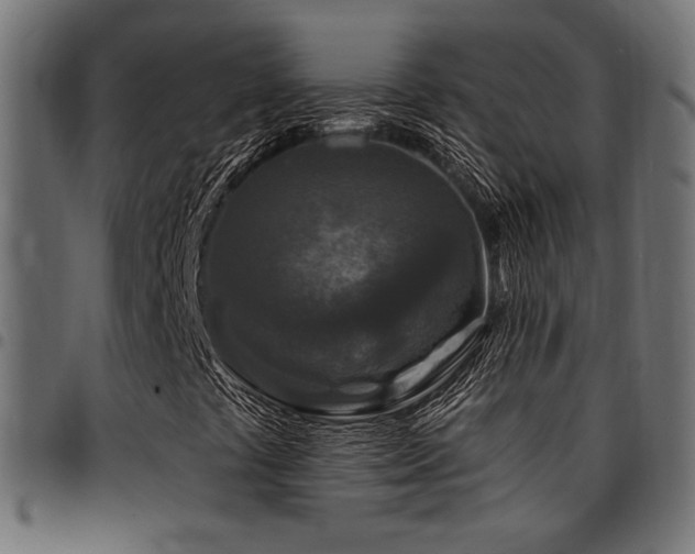 X0000095531441200712141452