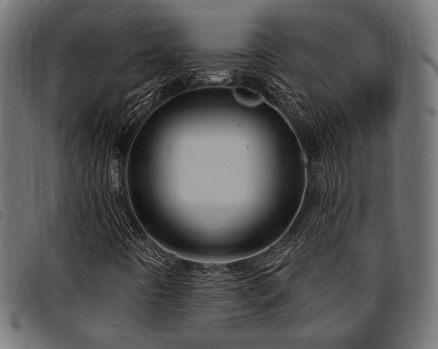 X0000095531442200712141452
