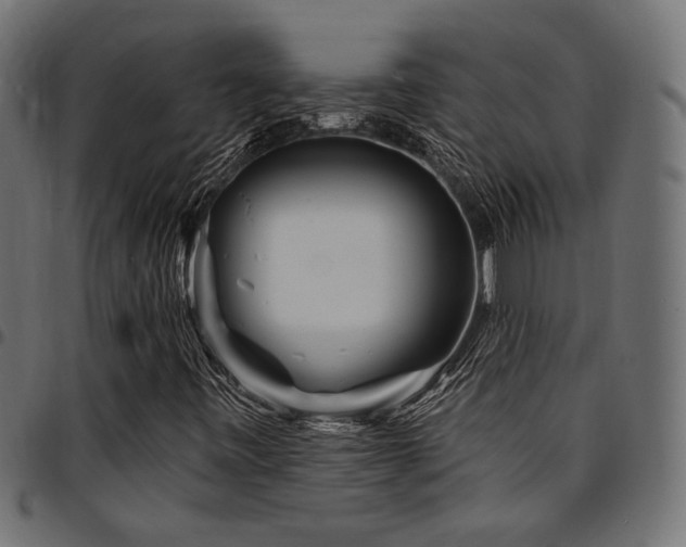 X0000095531443200712141452