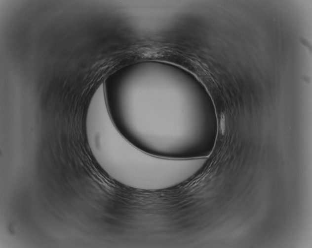 X0000095531444200712141452