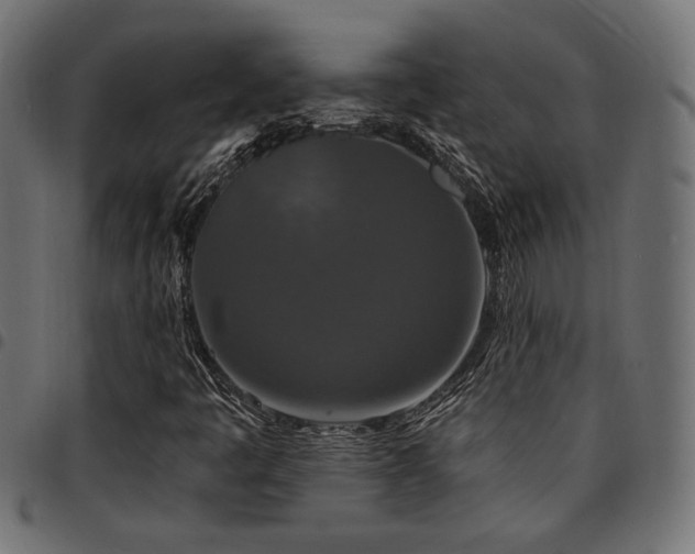 X0000095531445200712141452