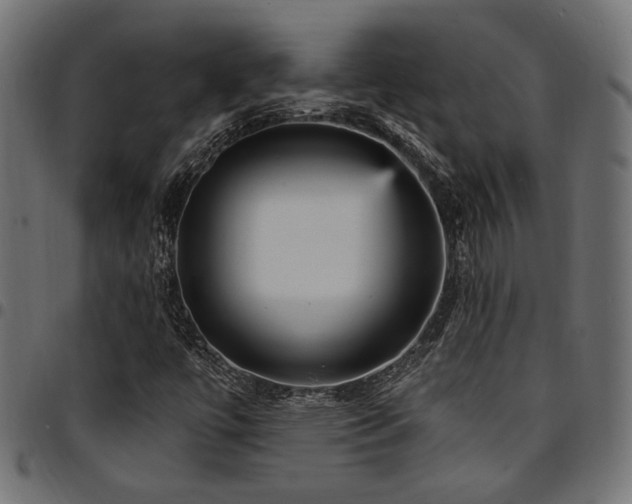 X0000095531447200712141452