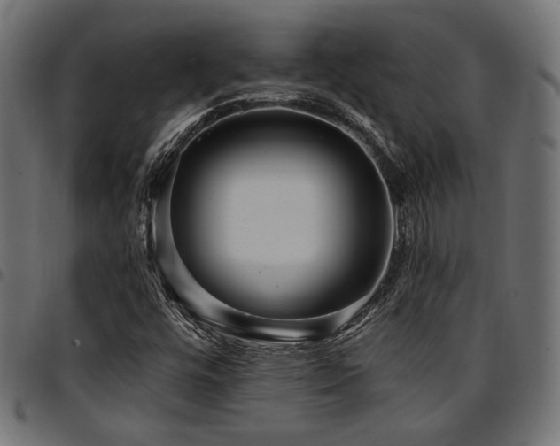 X0000095531448200712141452