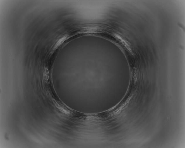 X0000095531449200712141452