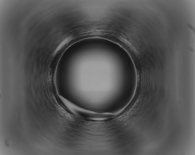 X0000095531450200712141452