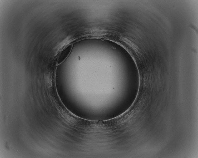 X0000095531451200712141452
