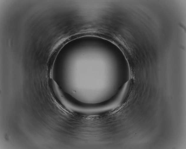 X0000095531452200712141452
