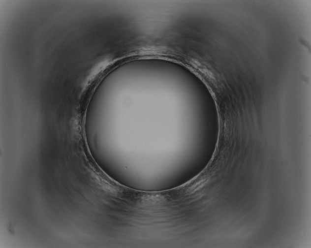X0000095531454200712141452
