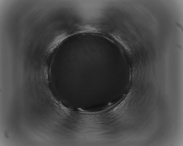 X0000095531455200712141452