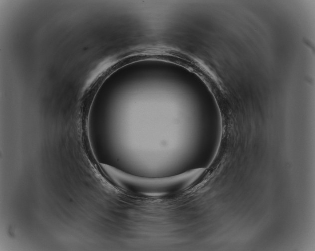 X0000095531456200712141452