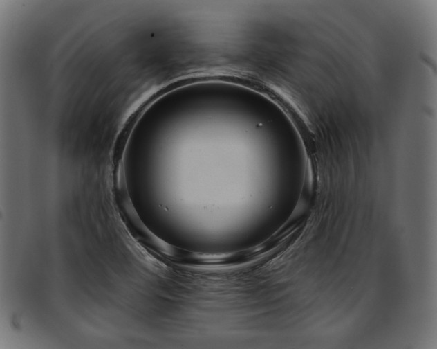 X0000095531460200712141451