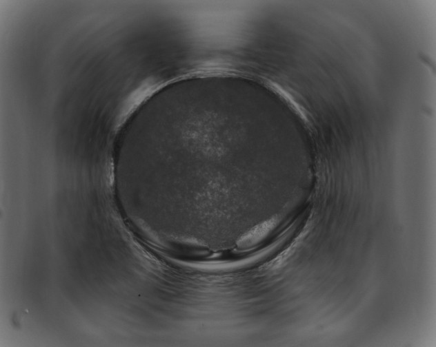 X0000095531461200712141451