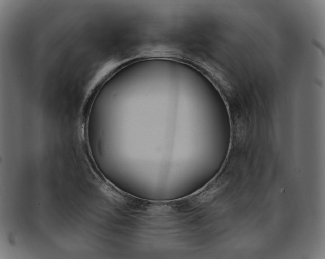 X0000095531462200712141451