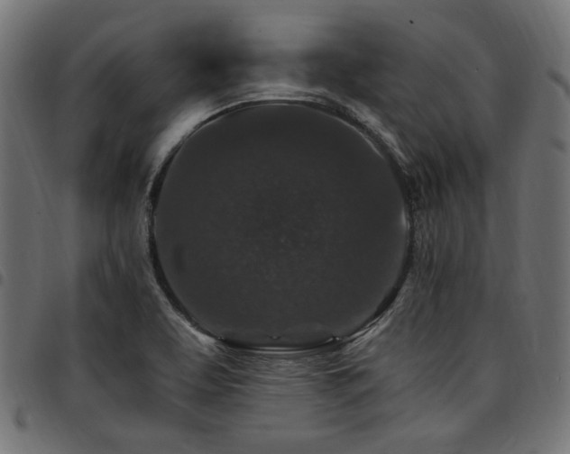 X0000095531463200712141451
