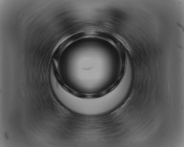 X0000095531465200712141451