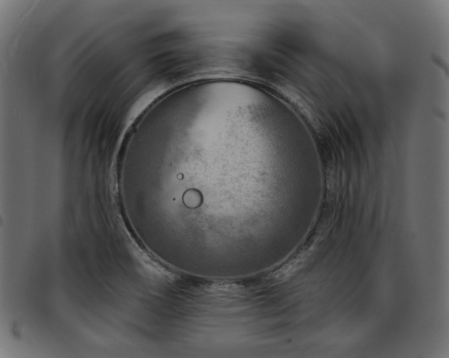 X0000095531466200712141451