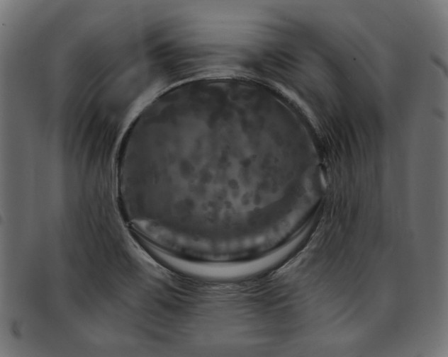 X0000095531467200712141451
