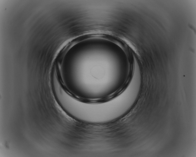 X0000095531468200712141451