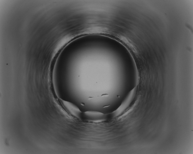 X0000095531469200712141451