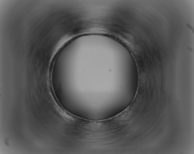 X0000095531470200712141451
