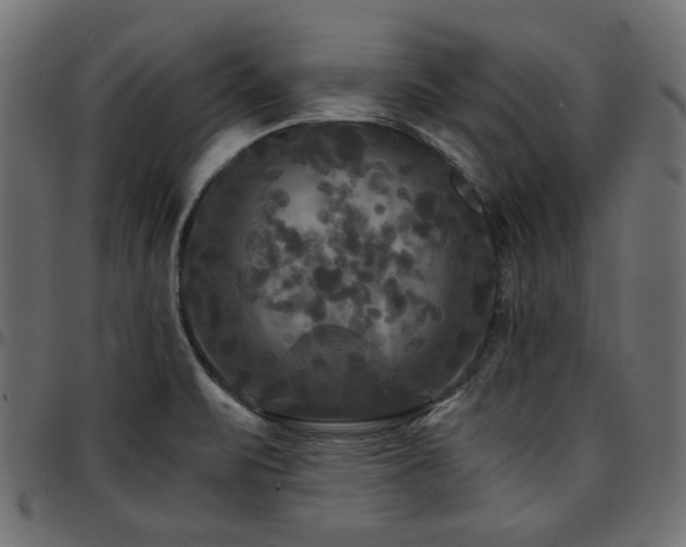 X0000095531471200712141451